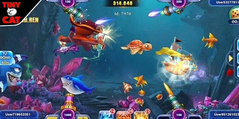 Mẹo chơi thắng lớn tại TINYCAT