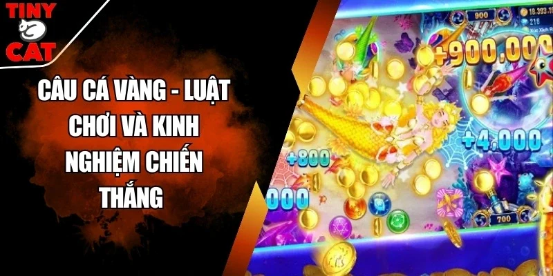 Câu cá vàng