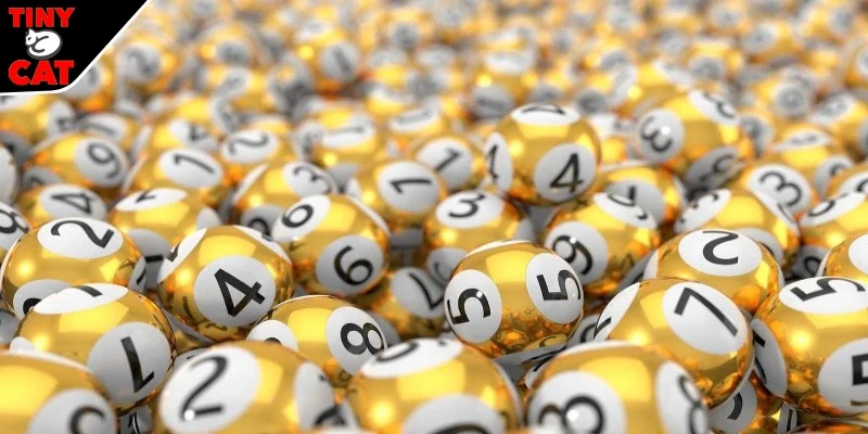 Một số kinh nghiệm khi chơi 