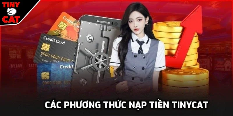Các phương thức nạp tiền TINYCAT99