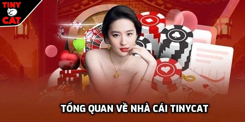 Giới thiệu sơ lược nhà cái TINYCAT99