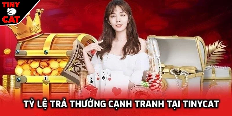 Tỷ lệ ăn thưởng tại TINYCAT99 cực kỳ cạnh tranh