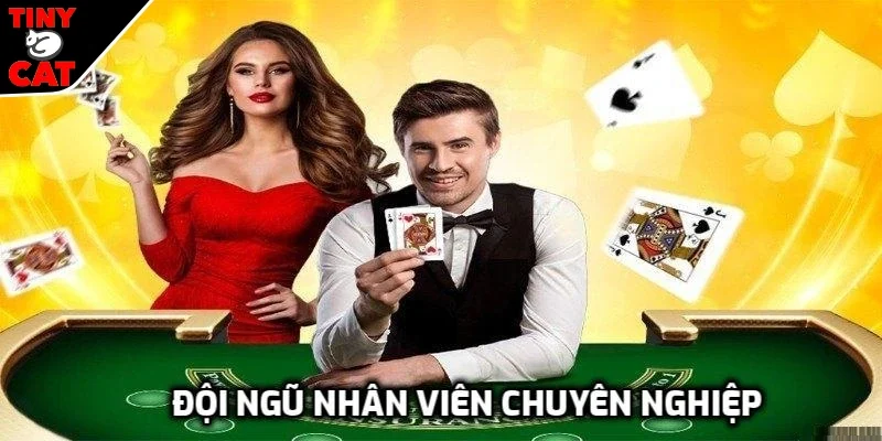 Đội ngũ nhân viên trên tuyệt vời